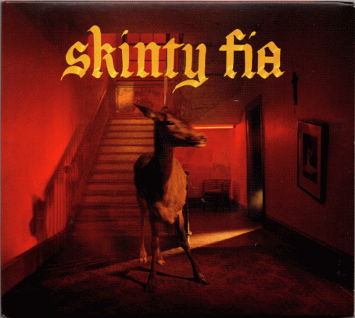 Fontaines DC : Skinty Fia